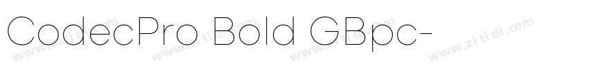 CodecPro Bold GBpc字体转换